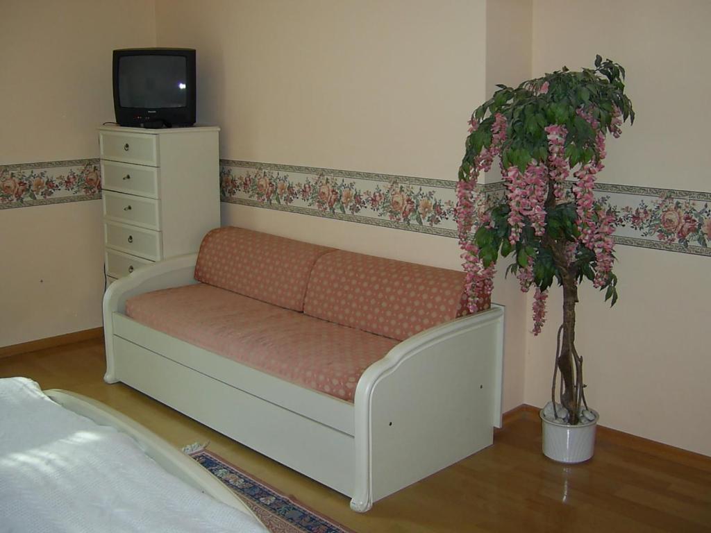 Pension Sejko Horní Planá Cameră foto